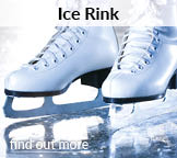 icerink